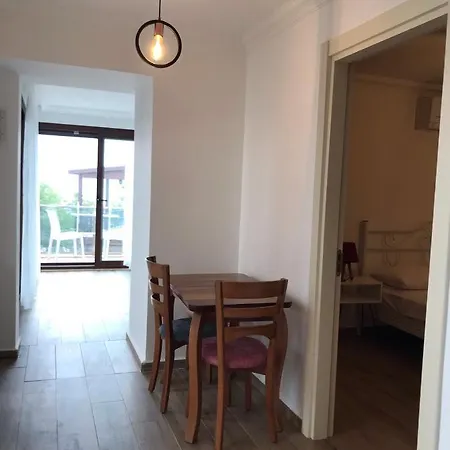 Apartment Leman